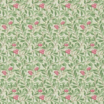 Arbutus Olive/Pink 214720