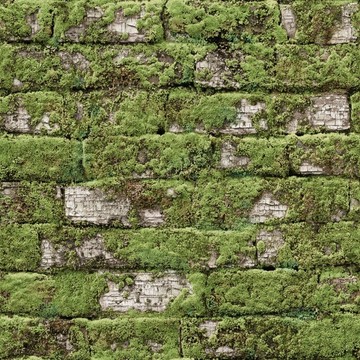 Old mossy white bricks 8888-45