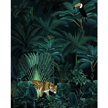 x4-1027_jungle_night