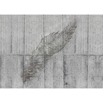 x7-1023_concrete_feather
