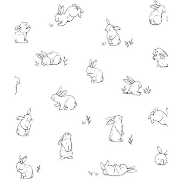 Bunnies Sketches H0440