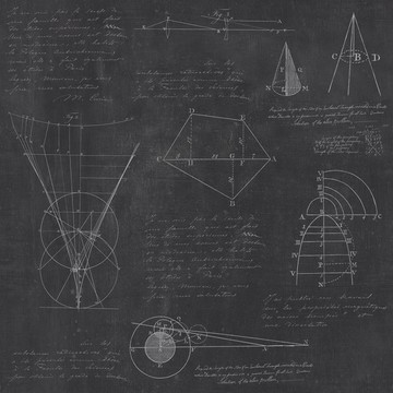 WP20046 - Newton Geometry