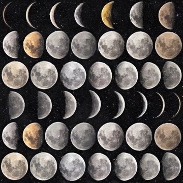 WP20066 - Moon Phases