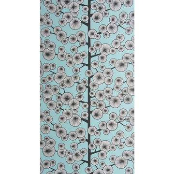 Cotton Tree  Sky Blue MISP1239