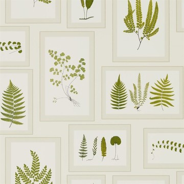 Fern Gallery  Ivory/Green 215712