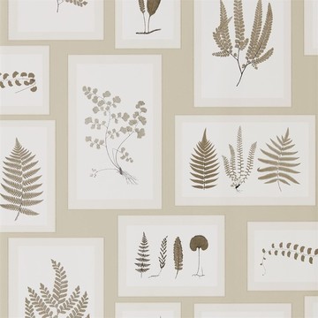 Fern Gallery Linen/Sepia 215714